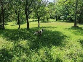 IMG 20220705 114155