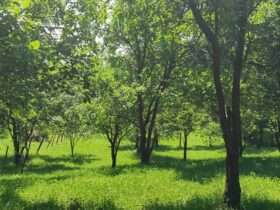 IMG 20220705 115551