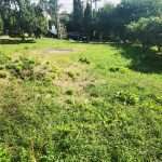 IMG 20230915 105649