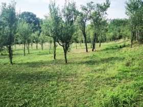 IMG 20230915 110833 1