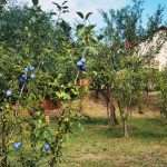IMG 20230915 111512