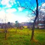 IMG 20231120 133424