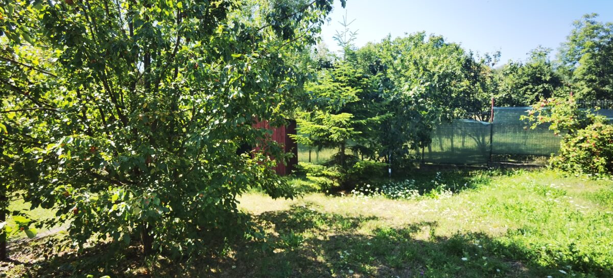 Vila Breaza 300Mp , teren 1100Mp , priveliste de vis | Breaza iulie ...