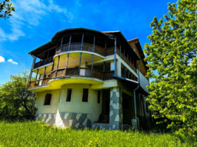 Buzo Pomana 44